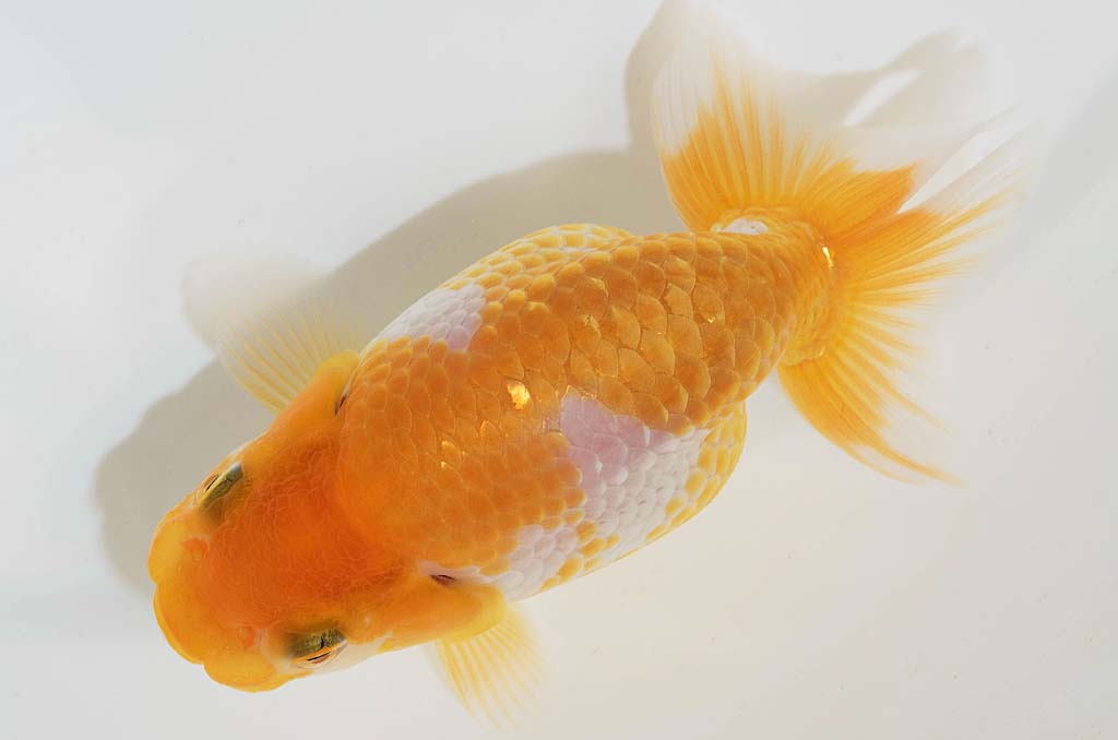 DSC_4005.jpg DSC_4005.jpg