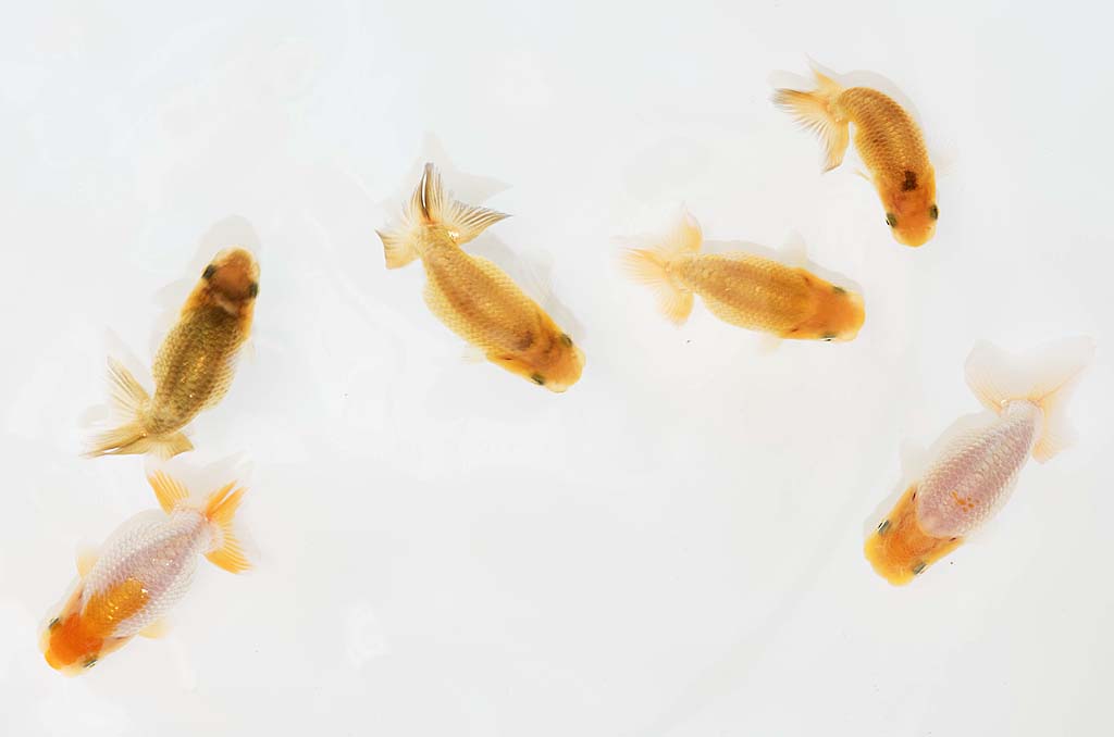 DSC_3960.jpg DSC_3960.jpg