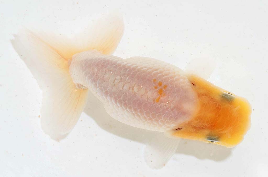 DSC_3973.jpg DSC_3973.jpg