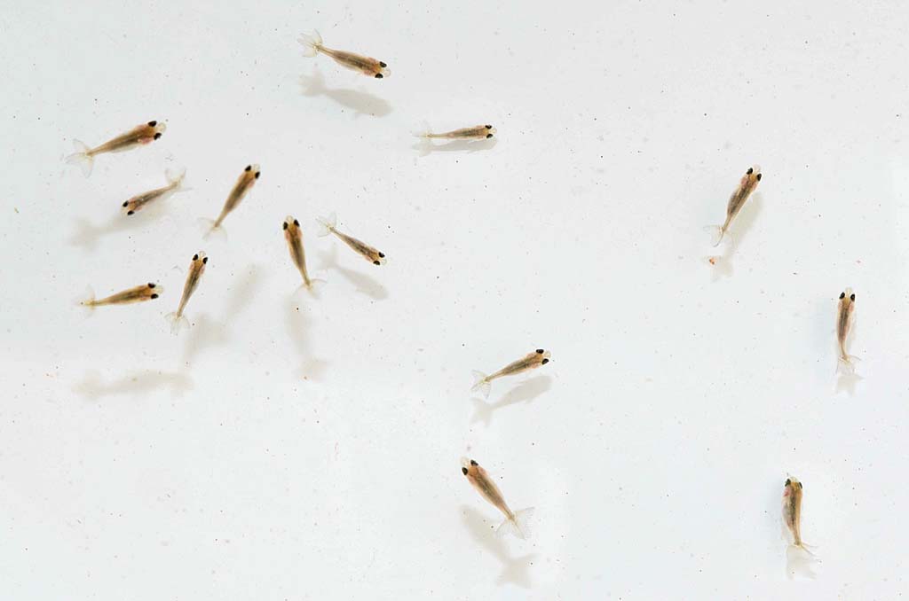 DSC_4039.jpg DSC_4039.jpg