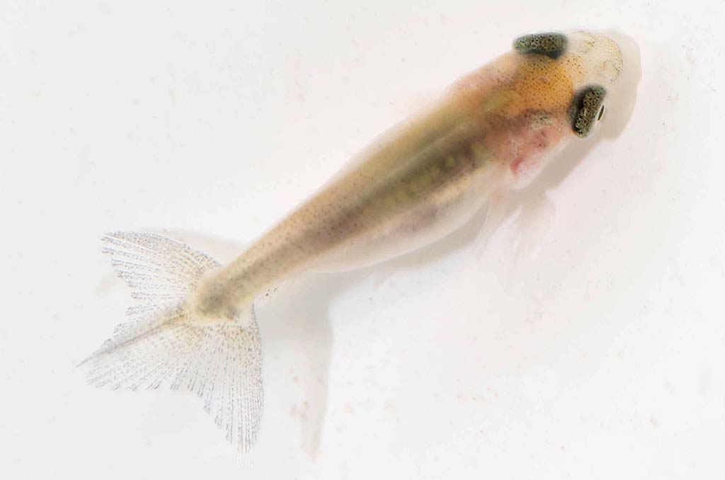 DSC_4048.jpg DSC_4048.jpg