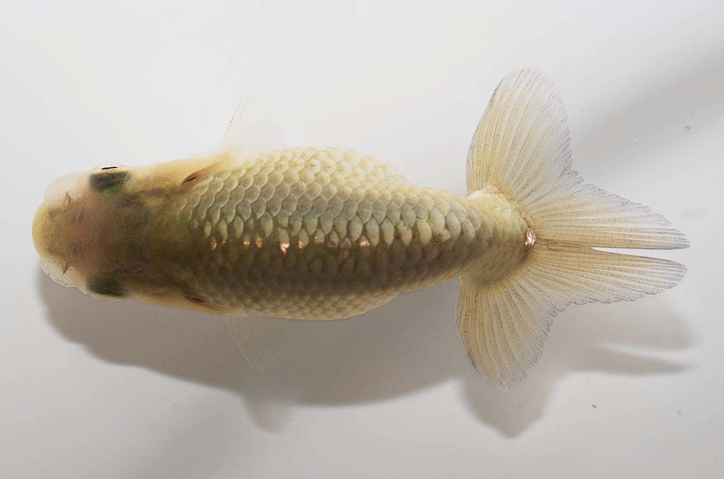 DSC_3715.jpg