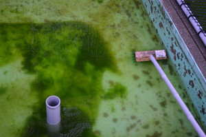 dsc_0729_r.jpg dsc_0729_r.jpg