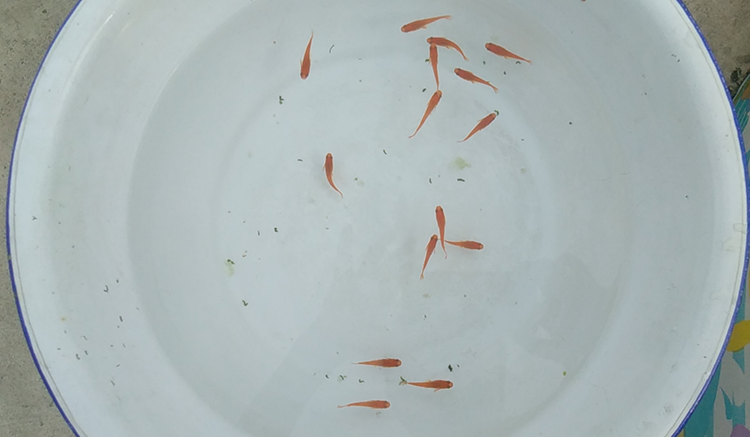 wx_camera_1594252948929.png wx_camera_1594252948929.png