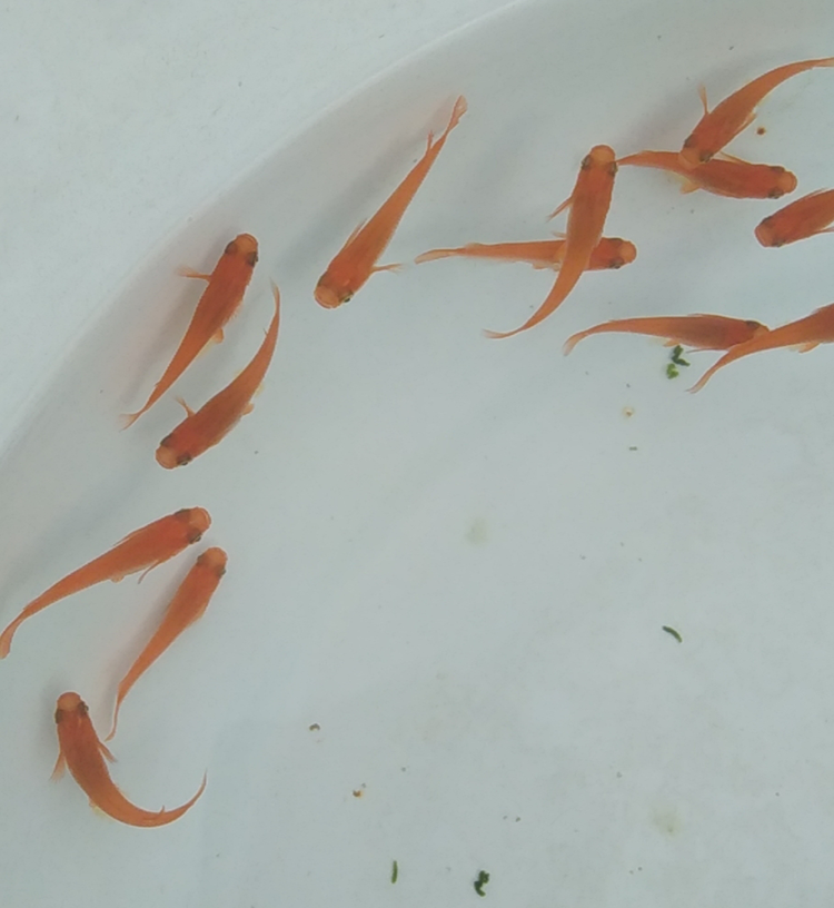 wx_camera_1594252986798.png wx_camera_1594252986798.png