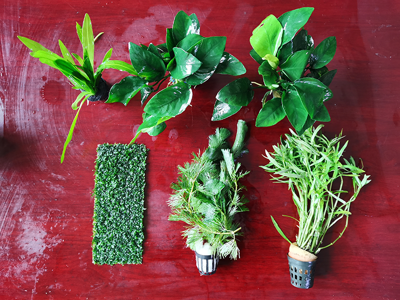 IMG_20201130_131321.png IMG_20201130_131321.png