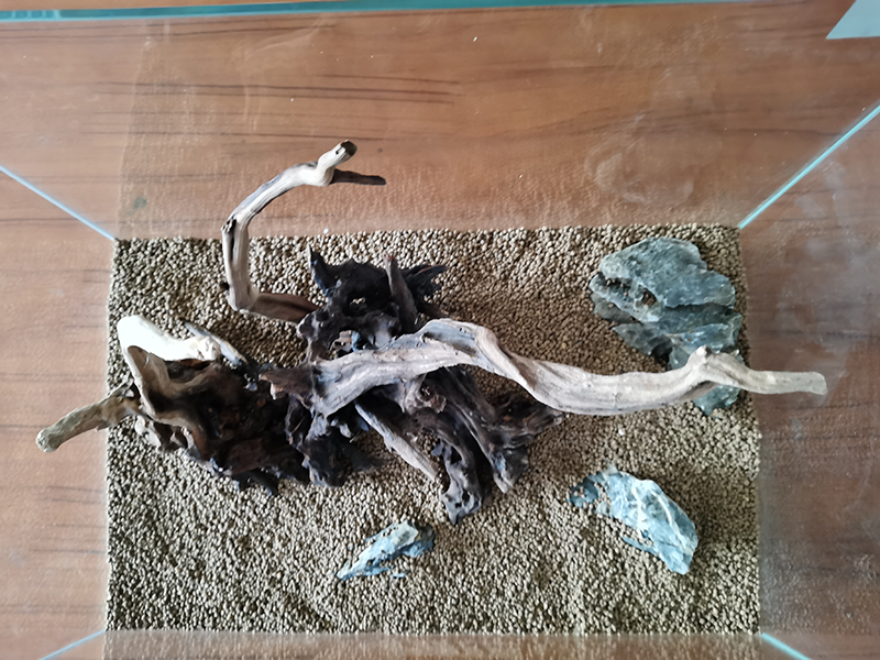 IMG_2020111.png IMG_2020111.png