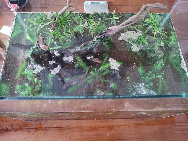 IMG_20201202_1.png IMG_20201202_1.png