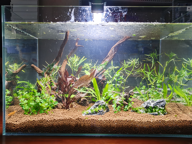 IMG_20201203_091759.png IMG_20201203_091759.png