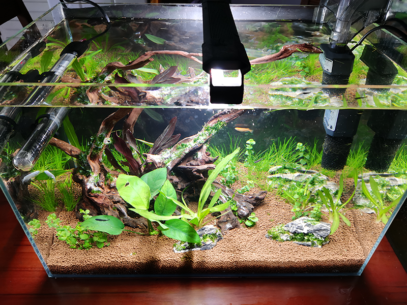 IMG_20201204_090437.png IMG_20201204_090437.png