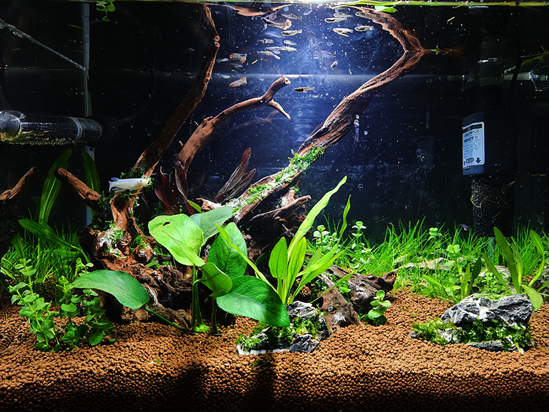 IMG_20201204_02.png IMG_20201204_02.png