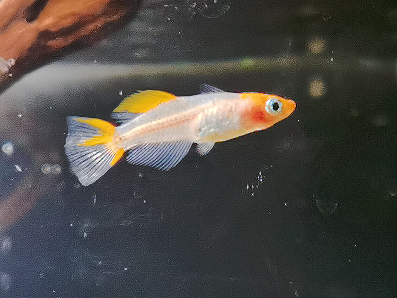 IMG_20201214.png IMG_20201214.png