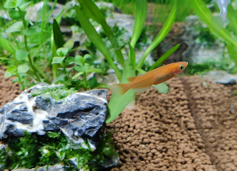 IMG_2020120011.png IMG_2020120011.png