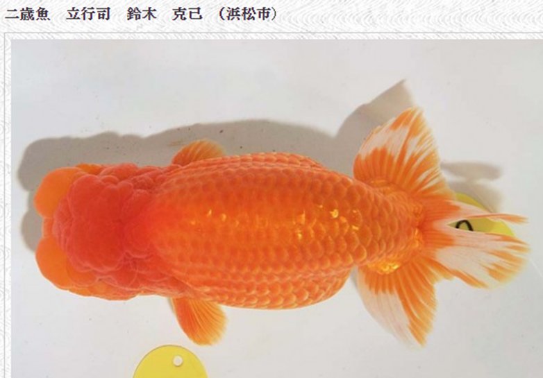 未标题2.png